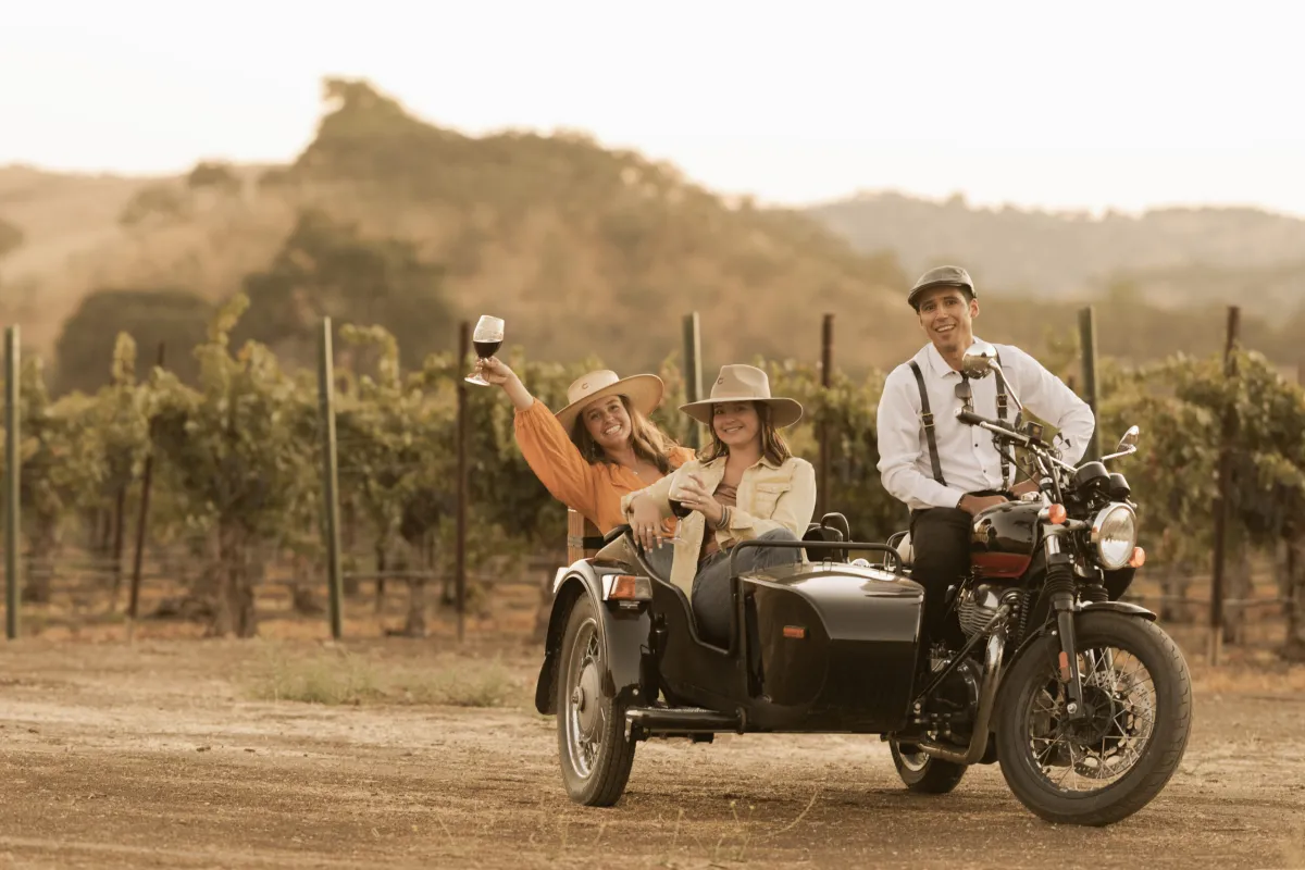 Guests raising a glass from a vintage sidecar through the vines at golden hour
