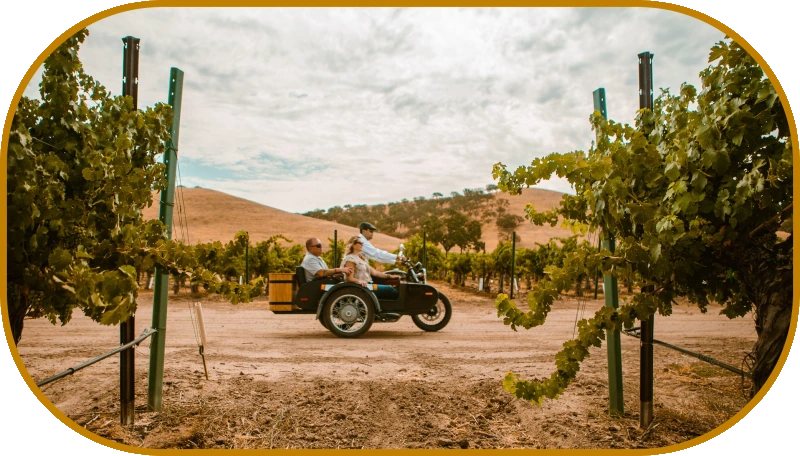 A vintage sidecar rolling down a dirt lane between rows of vines with the Paso Robles hills beyond